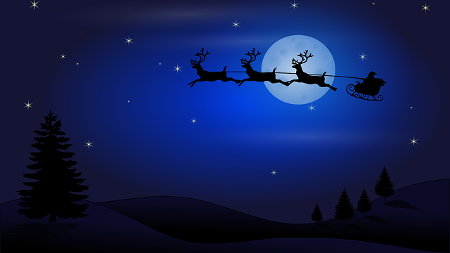 クリスマスの夜は【サンタを追いかけよう】！子供と盛り上がること間違いなし！