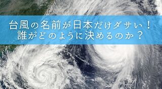 台風の名前が日本だけダサい！誰がどのように決めるのか？
