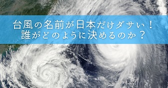 台風の名前が日本だけダサい！誰がどのように決めるのか？